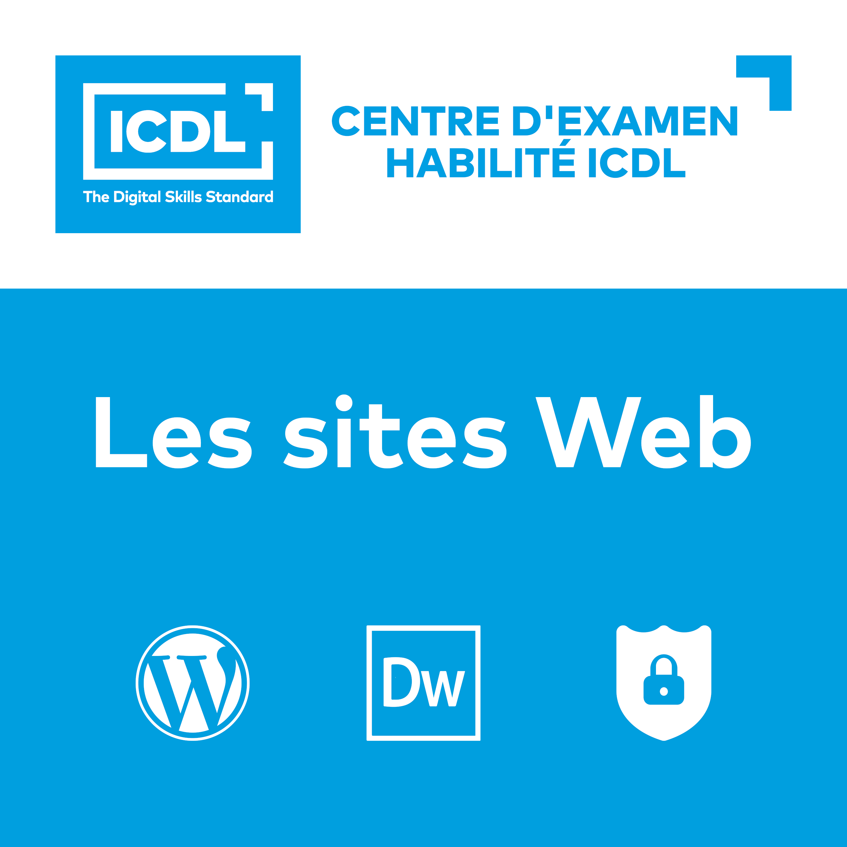 Réaliser un site web - ICDL - Pyramidia